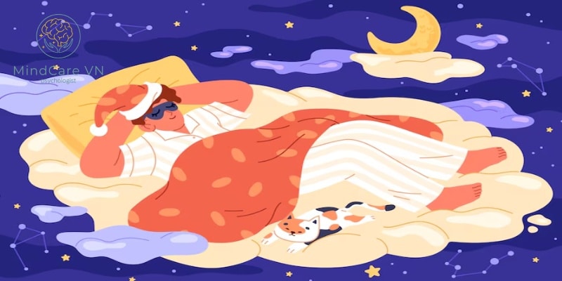 Tại Sao Giấc Ngủ Quan Trọng